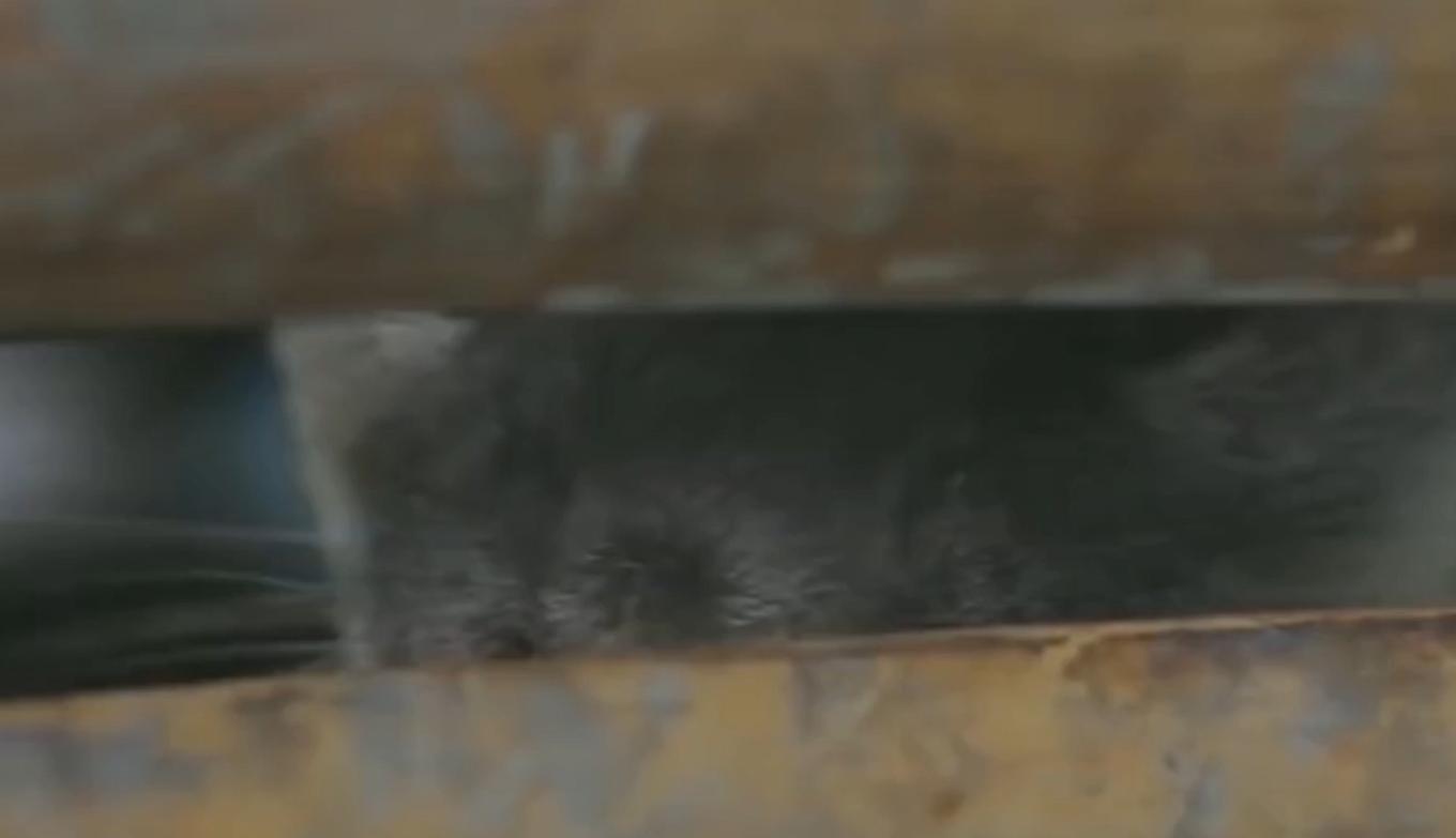 传说中的“水鬼”竟然被抓住,看到水鬼的面目,网友:长见识了