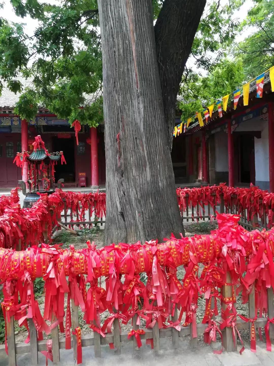 少华山一日游攻略报团,少华山一日游最佳攻略