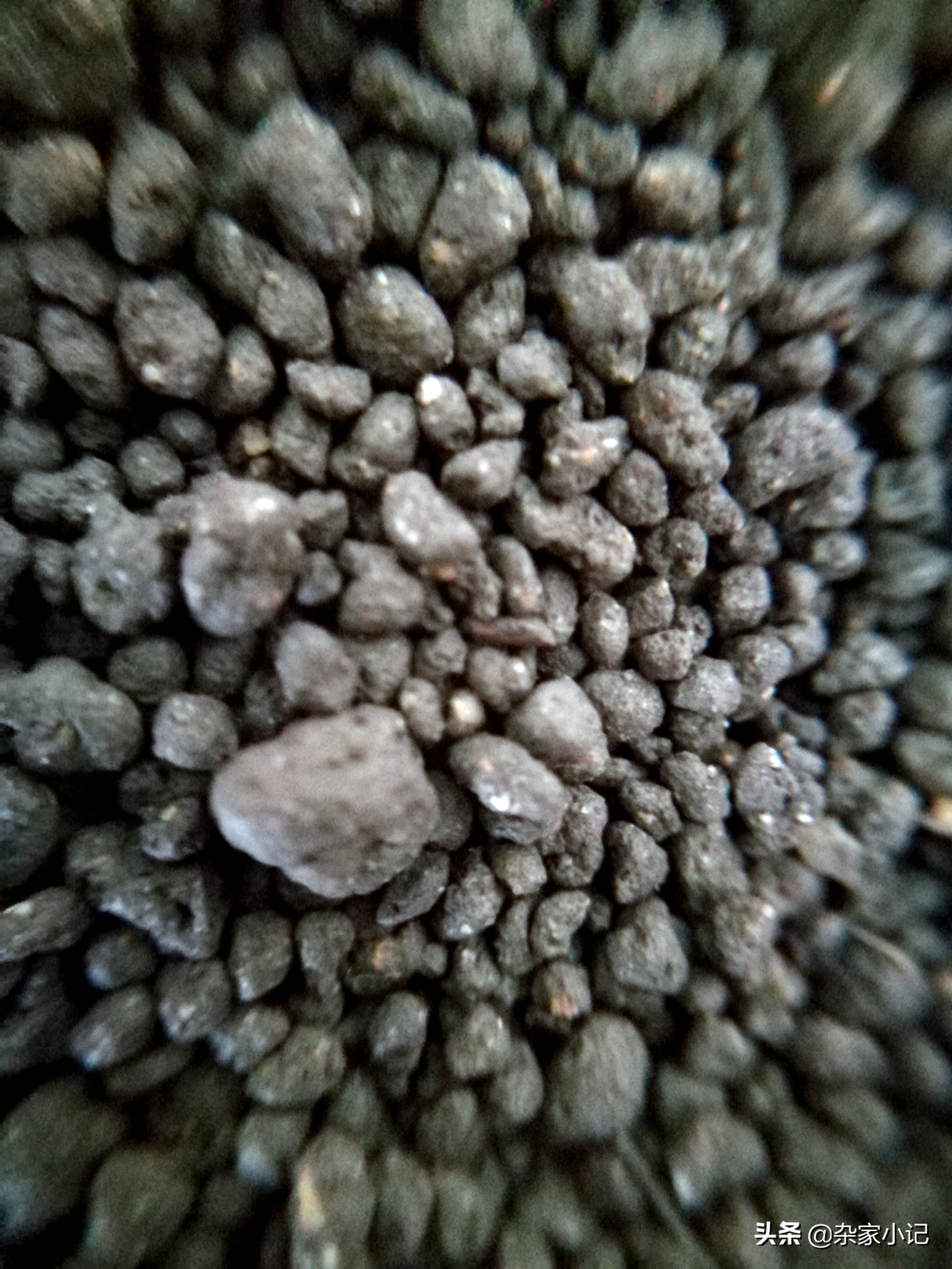 疯狂石头水草泥,疯狂的石头水草泥口碑怎样