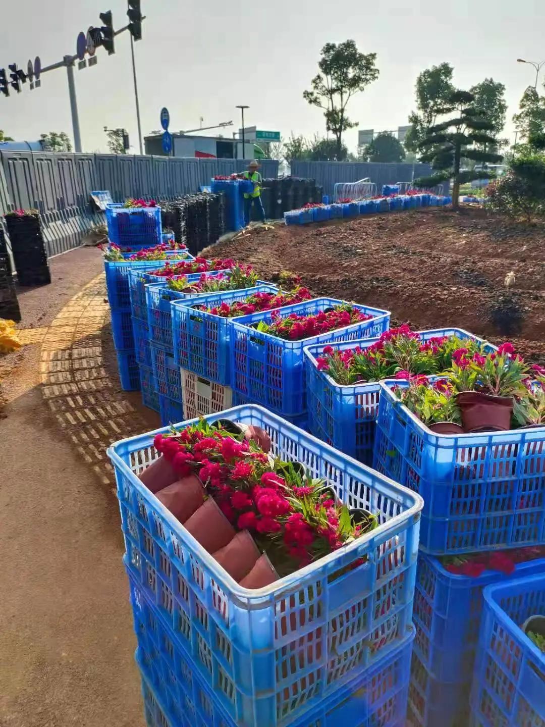 望城“百日攻坚”，城投项目在提速！