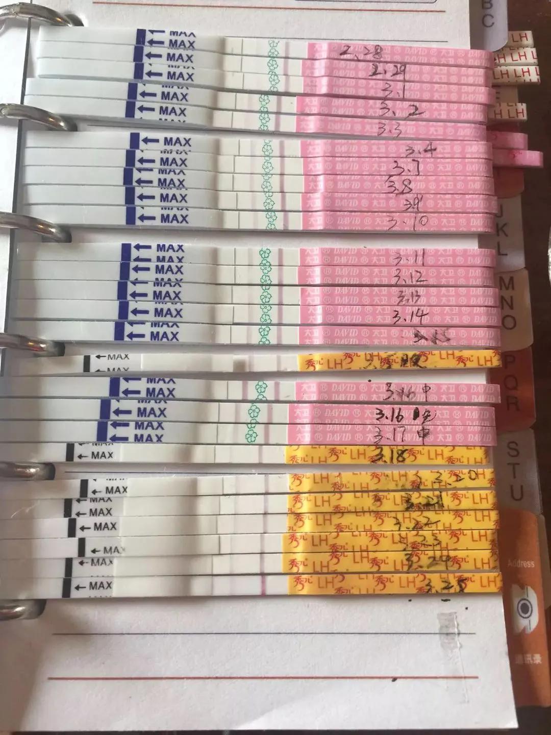 当取卵针戳进我的卵巢,把卵泡一颗颗吸出来时,丈夫在隔壁取精室看片取精|成为母亲