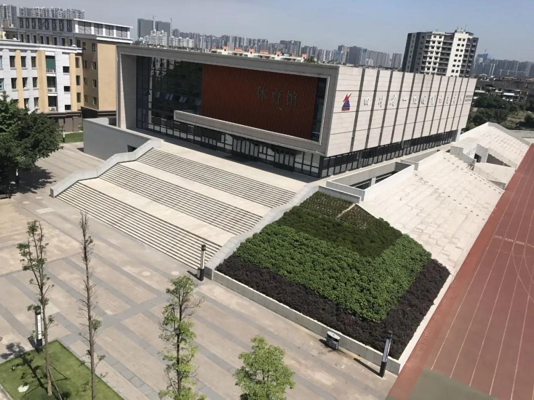 成都华阳中学艺体特长生测试标准,华阳学校体考