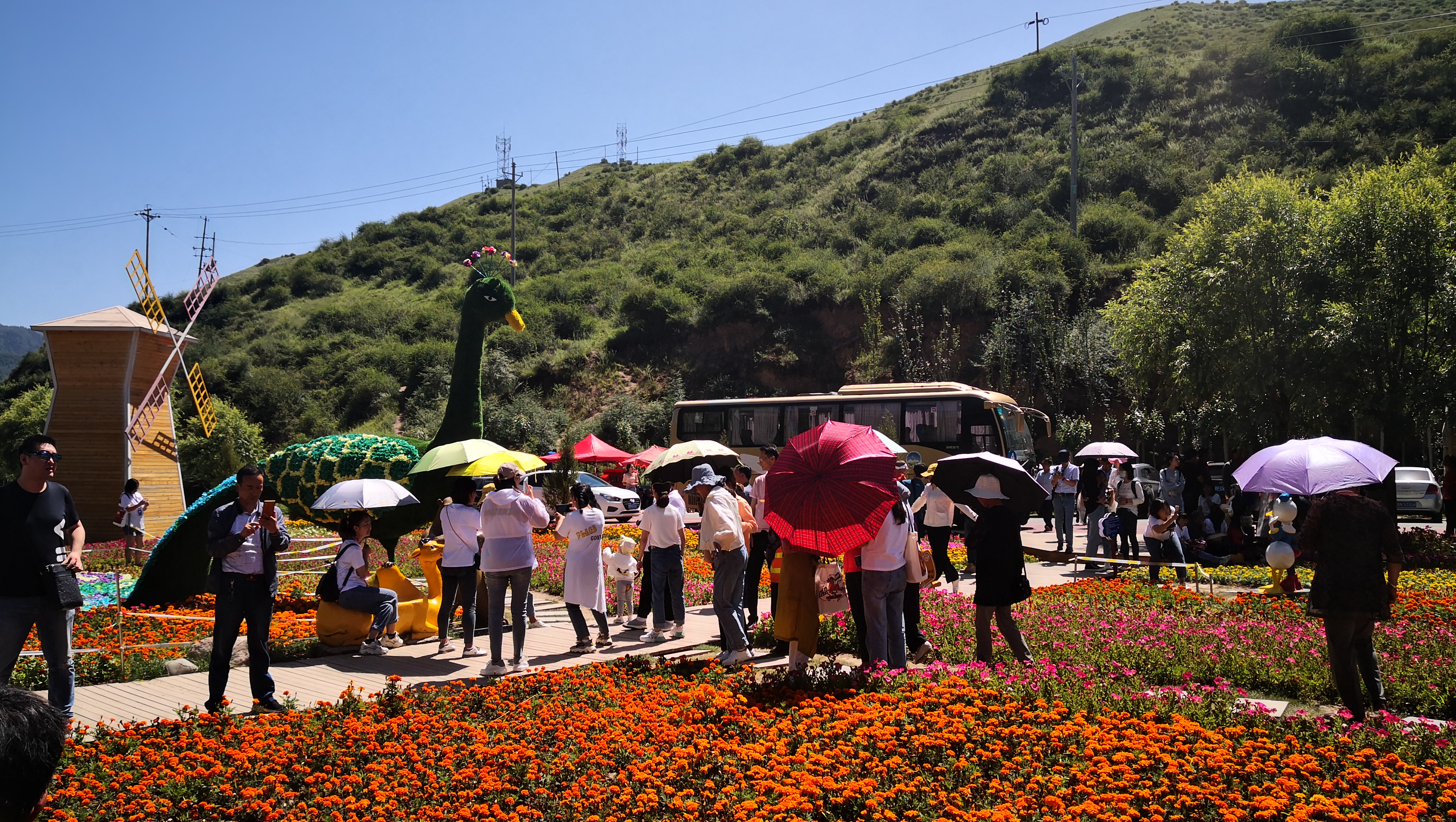 让短视频、抖音走进甘南、走进冶力关景区