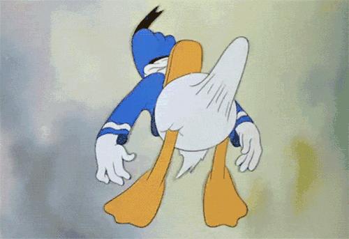 叮叮也会折断：关于叮叮，你可能还不知道的5个真相