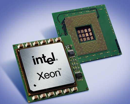 关于服务器的专业,关于服务器的视频