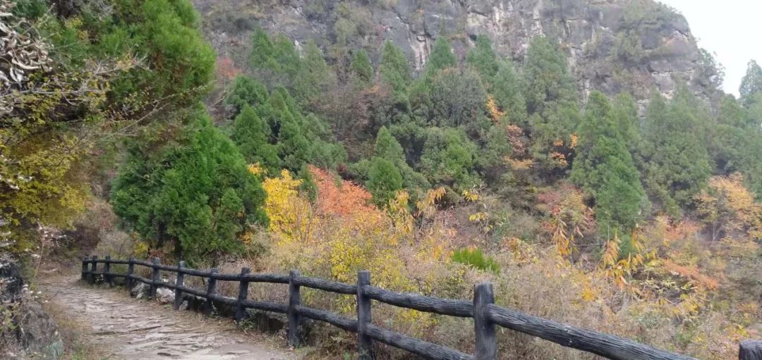 秋香四溢的白陉古道，诗意正浓