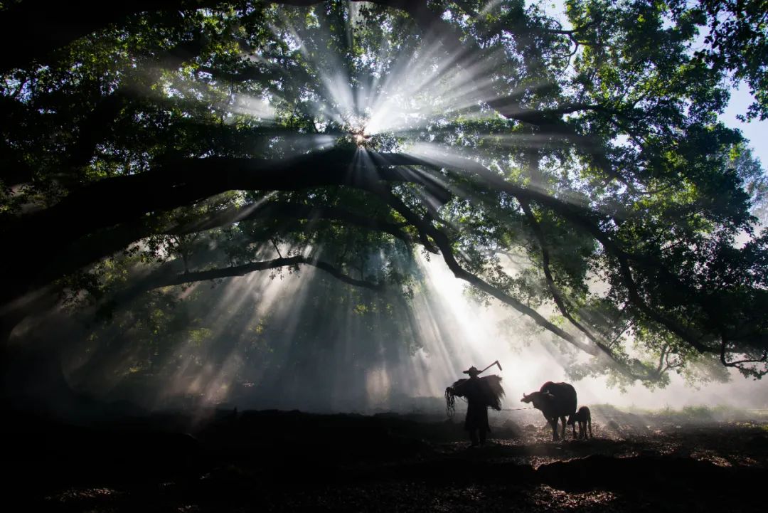 投资股票是否可行,投资股票是否真的能赚钱