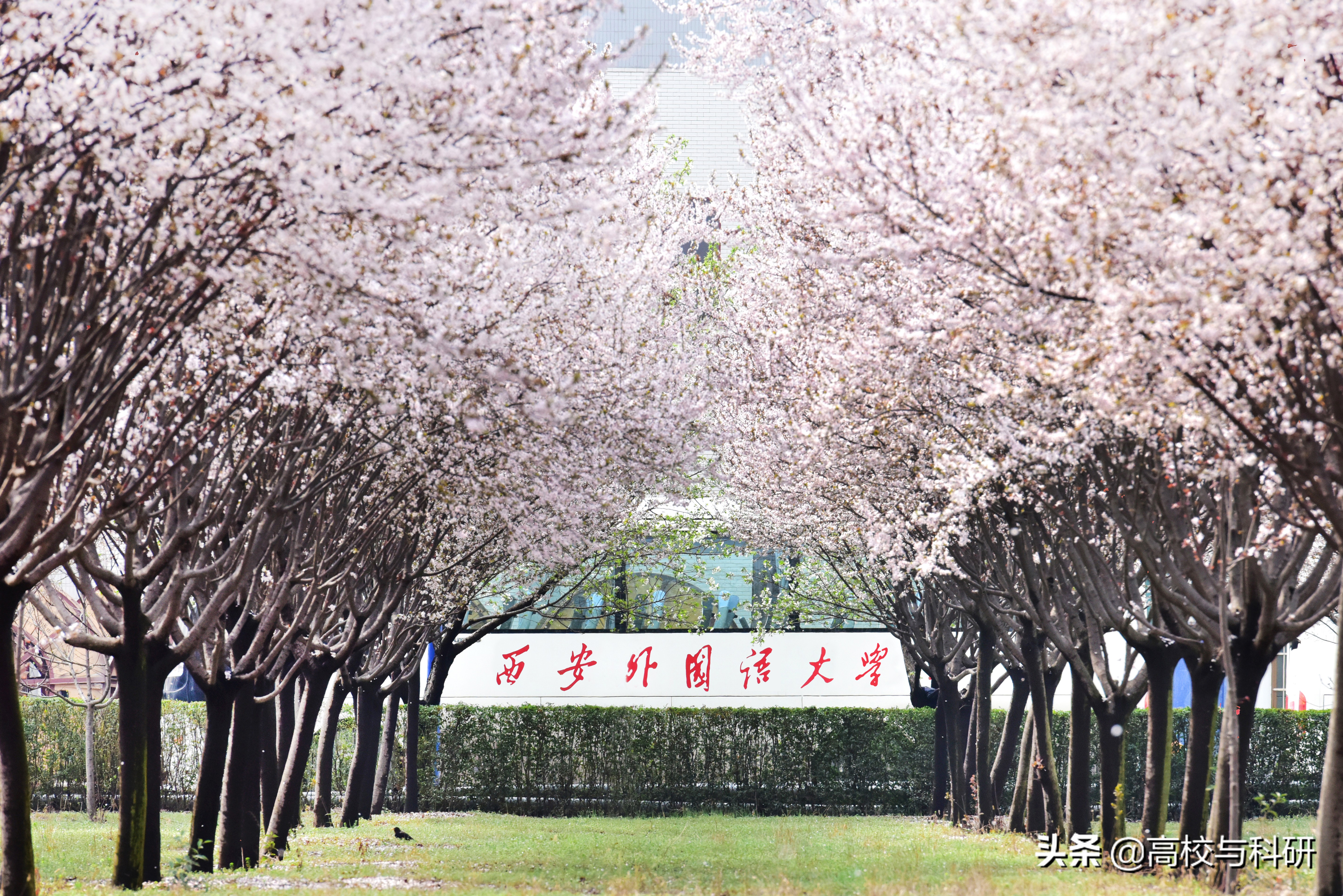 十大热门专业金融学,想学金融最好的学校