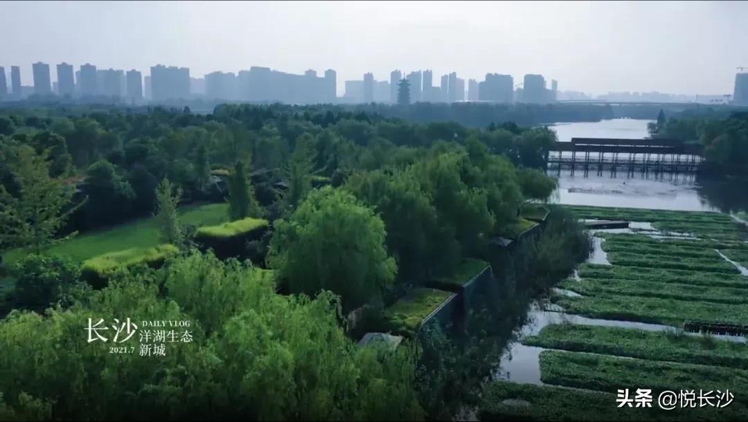 长沙洋湖片区规划,长沙洋湖垸片区规划图