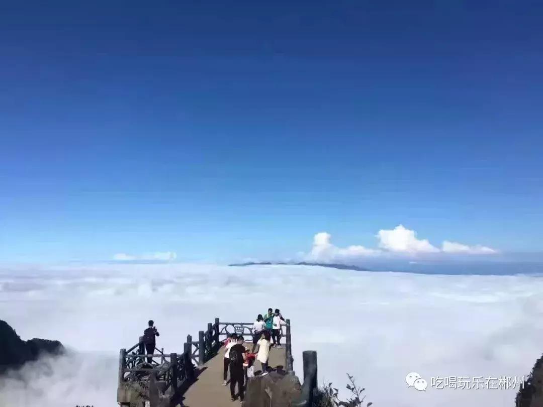 郴州酒店推荐一百左右,郴州十大星级酒店