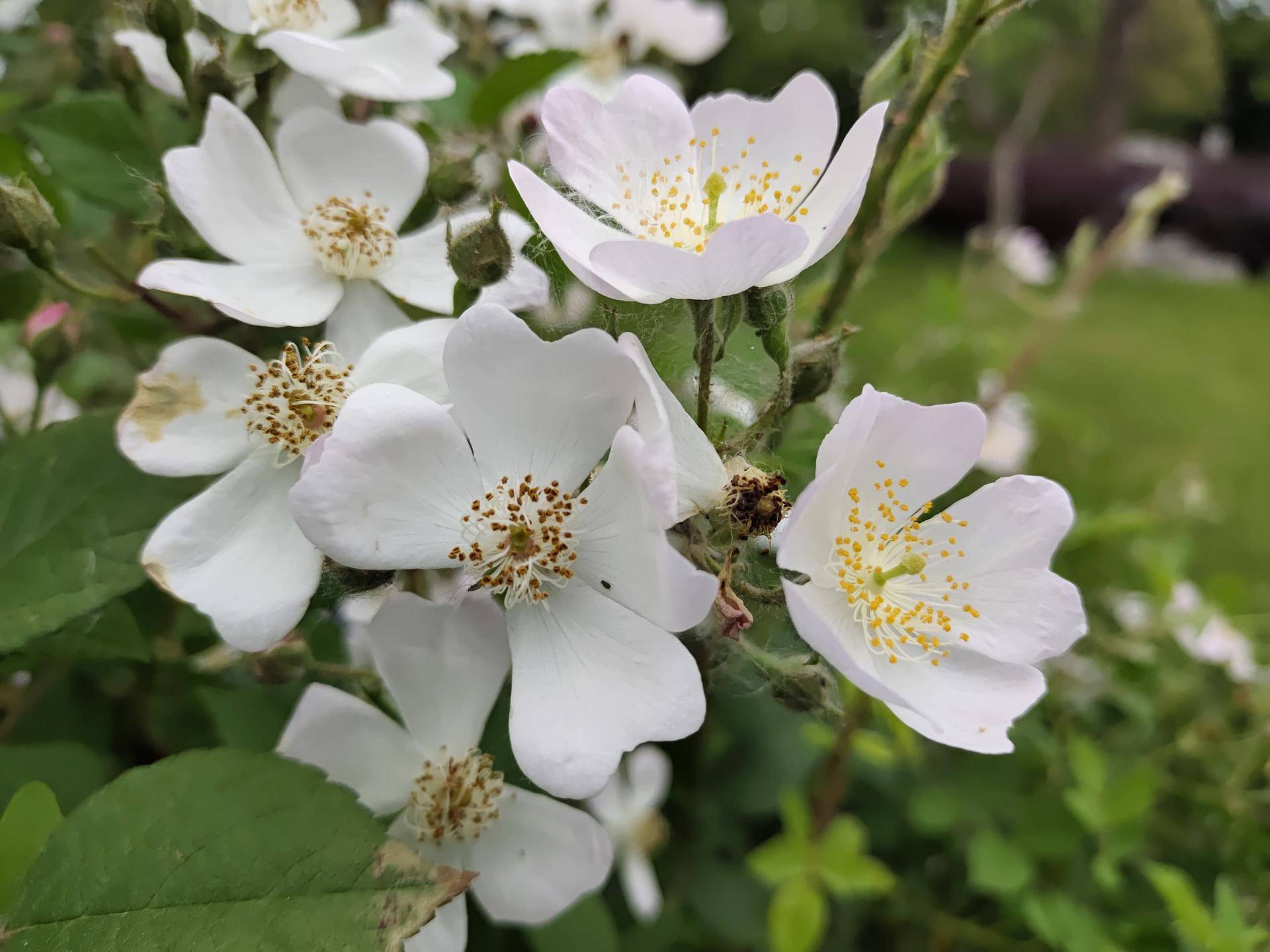 iQOONeo3是一款适合年轻人使用的手机,iQOONeo3评测