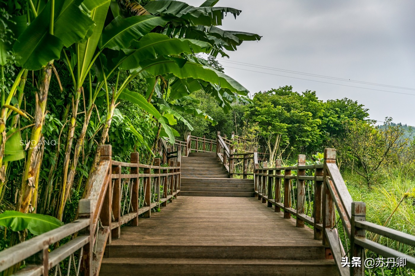 180块钱的门票,怎么玩才不冤枉?世界最大瀑布群来了不后悔