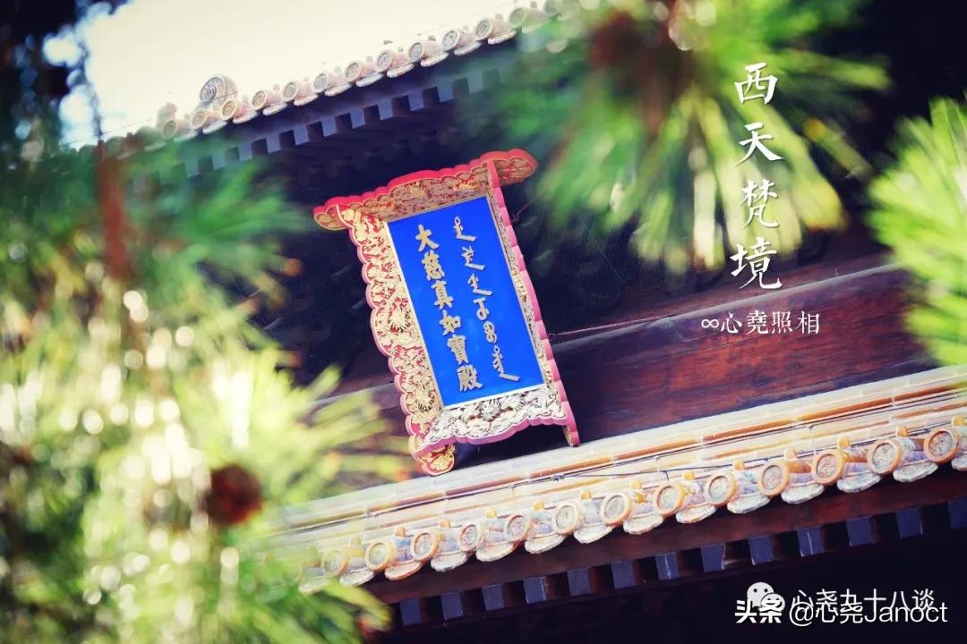 北海公园金丝楠木殿,北海公园西天梵境