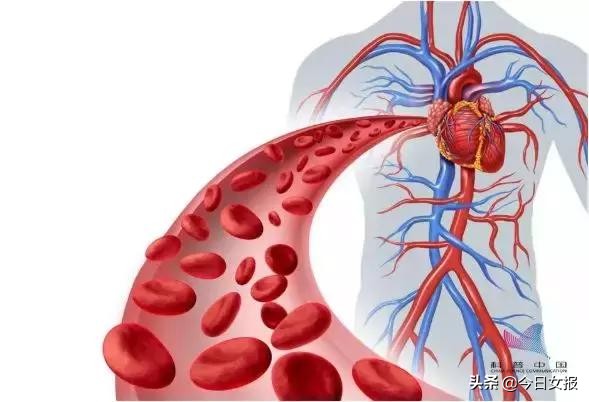 中国科协辟谣十个谣言,科普中国年度科学辟谣