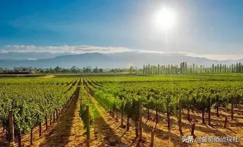 宁夏酒庄之旅,银川酒庄之旅