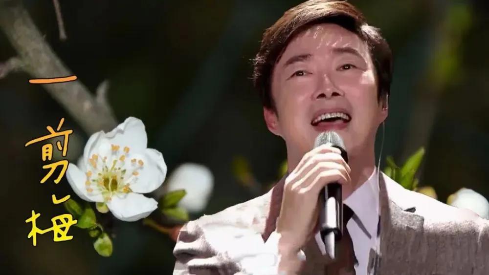 费玉清20首经典歌曲一剪梅6人挑战,费玉清一剪梅欧美
