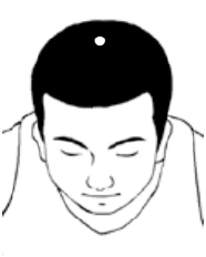 安神降压的穴位,百会镇静穴