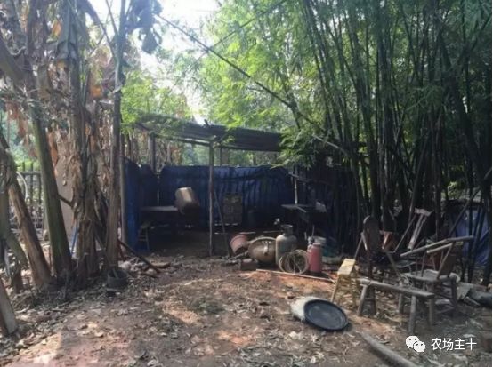 总共花了不到700元改造的废弃小院,花4万改造房子