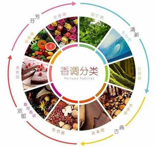 入门买什么香水比较好,入门名牌香水