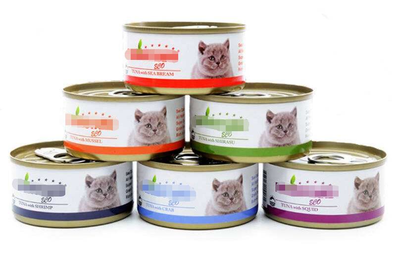 盘点致命的养猫玩具,猫咪新出网红用品