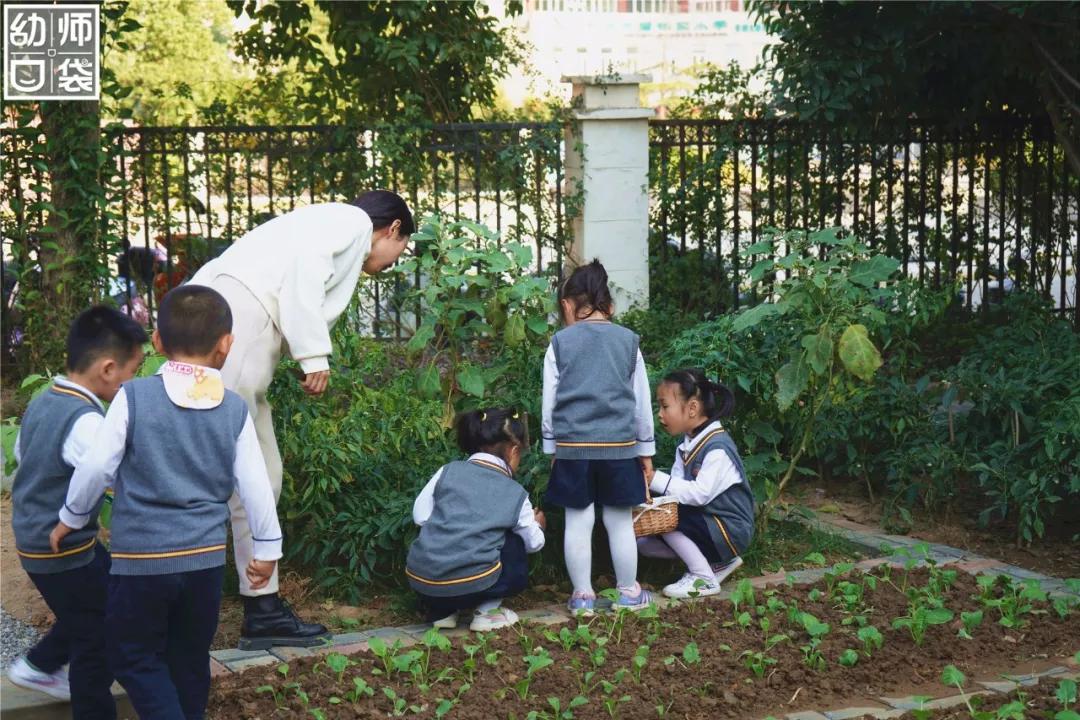 这里有最好的自然、最野的运动、最幸福的老师和孩子丨走进幼儿园