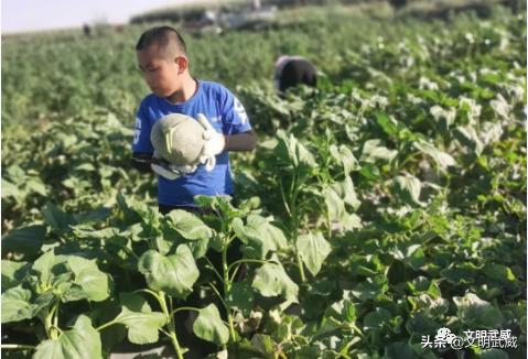 石培昊和民勤的小学生,孝心少年石培昊的事迹