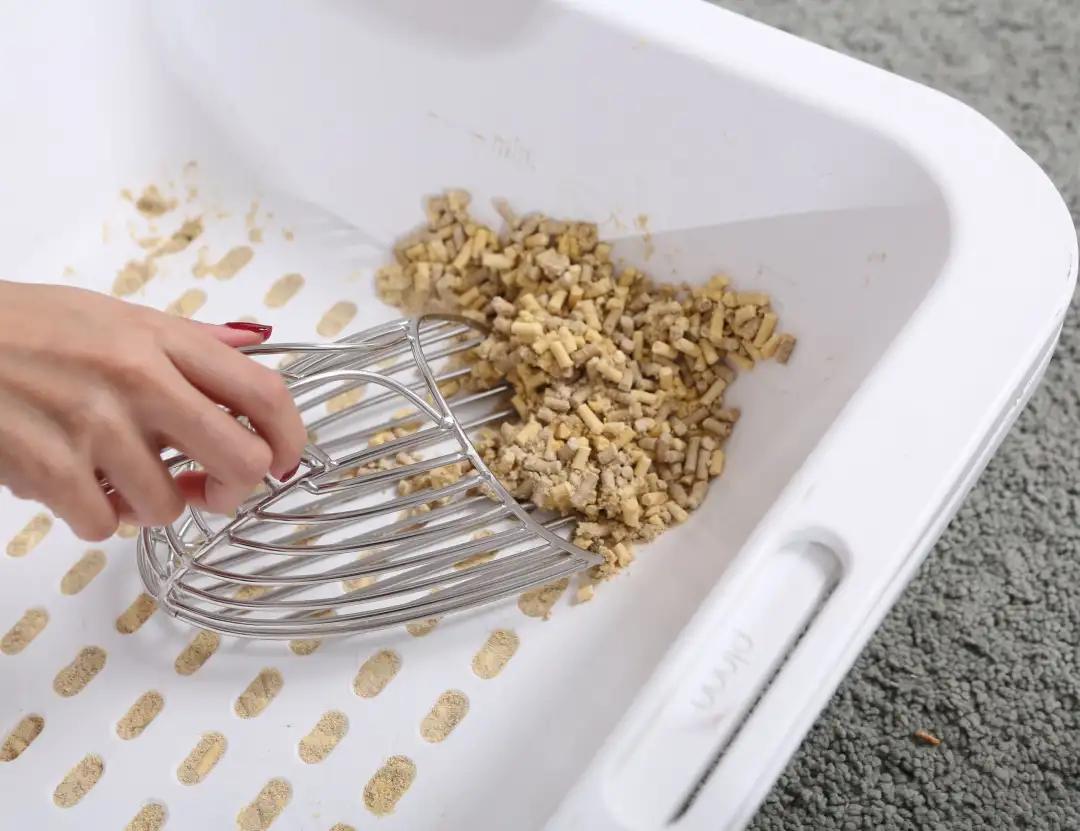 未来5年宠物智能产品,宠物产品logo设计