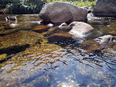 绍兴原汁原味的江南水乡,绍兴最原汁原味的江南水乡古镇