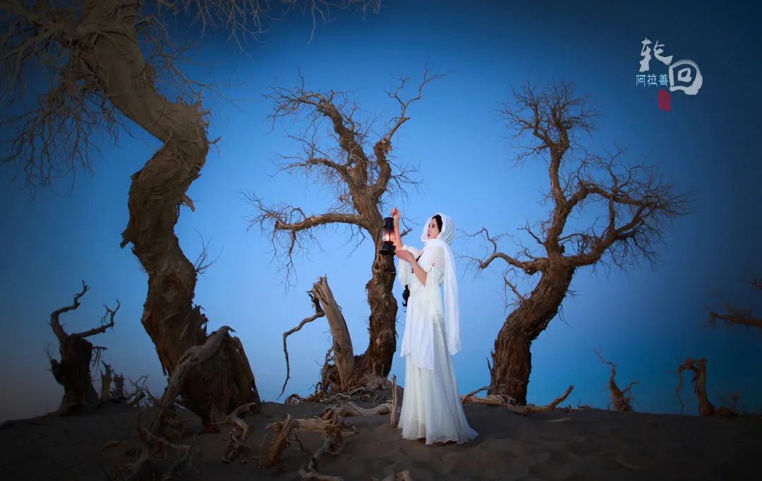 额济纳旗住宿一般多少钱,国庆额济纳旗胡杨林攻略