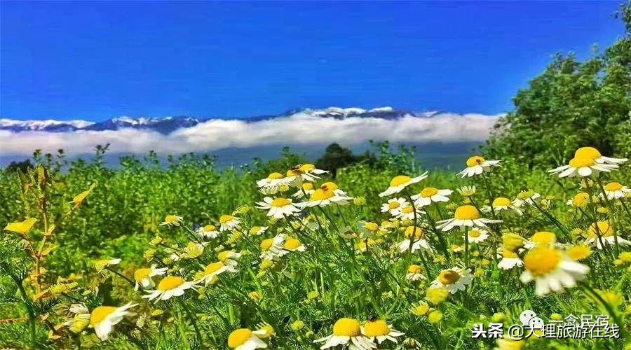 洱海深度游玩攻略,去洱海最该去哪个地方