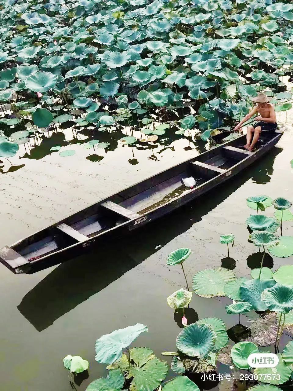 吴彦祖拍的劲爆电影,吴彦祖最新片