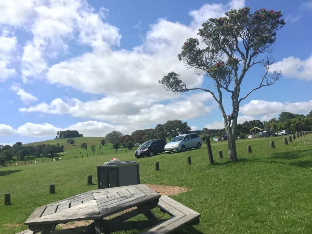 漫话新西兰,漫话新西兰漫画