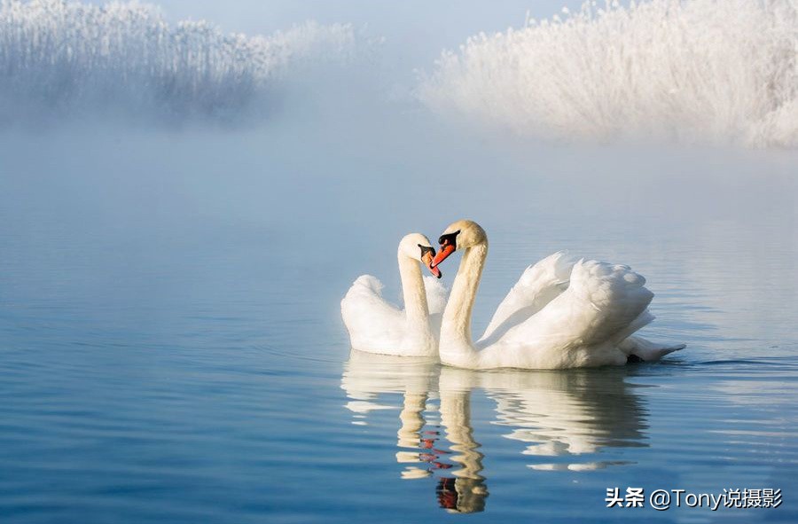 如何区分浮动光圈还是恒定光圈,恒定光圈拍摄常识讲解