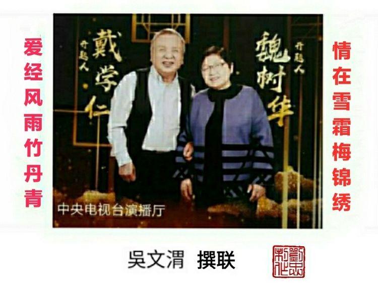 戴学仁魏树华夫妇的幸福故事,白浪情活动