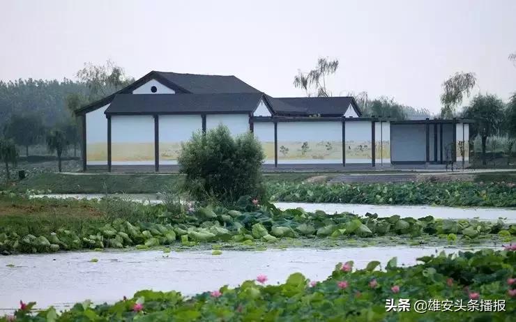 雄安值得一去吗,雄安最值得去的地方