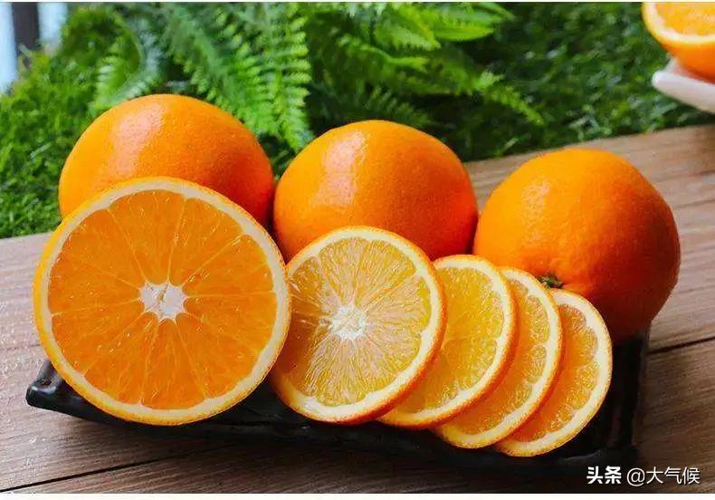 脐橙怎么看真假,怎么分辨真假脐橙
