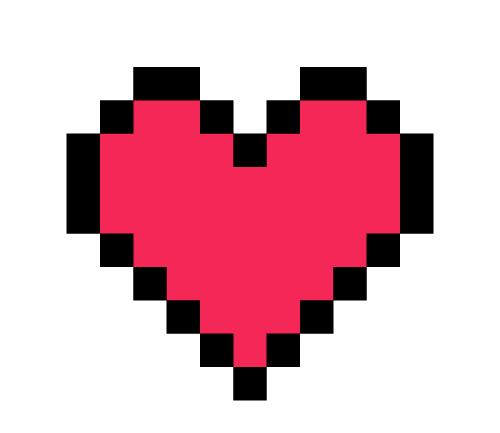 初为猫奴,新手猫奴必读