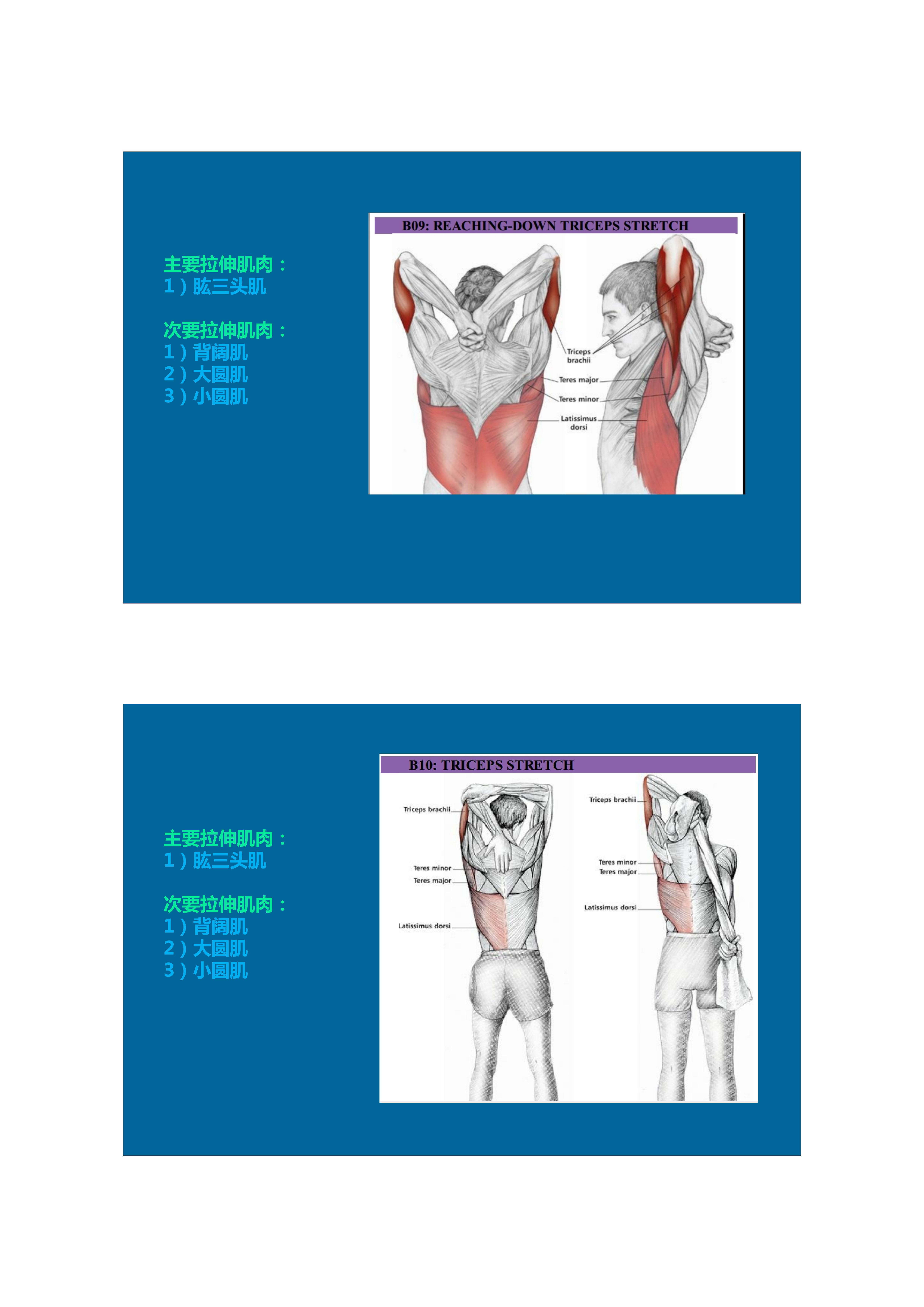 1分钟拉伸动作视频,拉伸腿部技巧