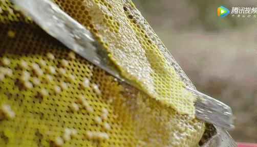 所有人都想请他来东莞拍「肉戏」