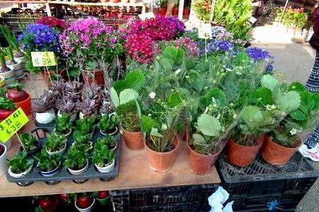 一千块做什么可以快速赚钱,现在有一千元做什么才能赚钱呢