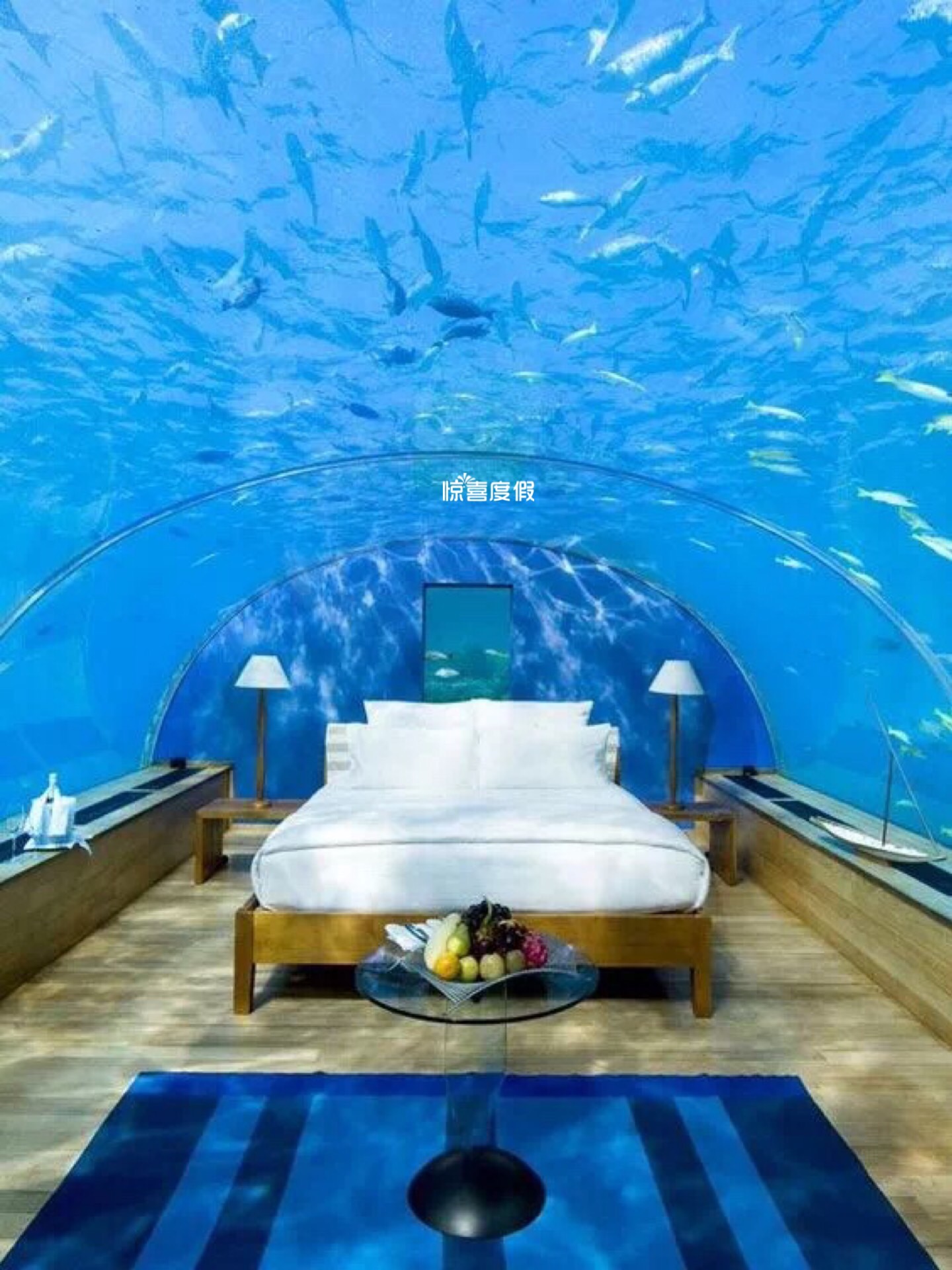 马尔代夫法式水上餐厅,马尔代夫海底餐厅视频