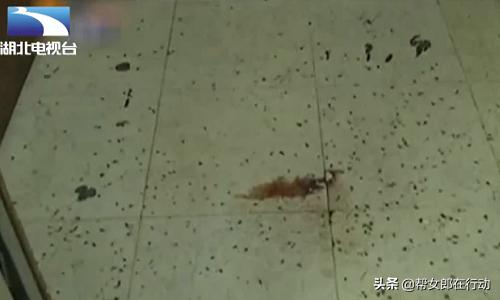 小区电梯常有异味,原来是时髦女子在内大小便,监控拍下全过程