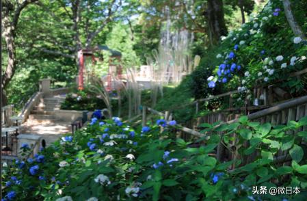 我们不一样国外的歌曲,我们不一样日立电梯