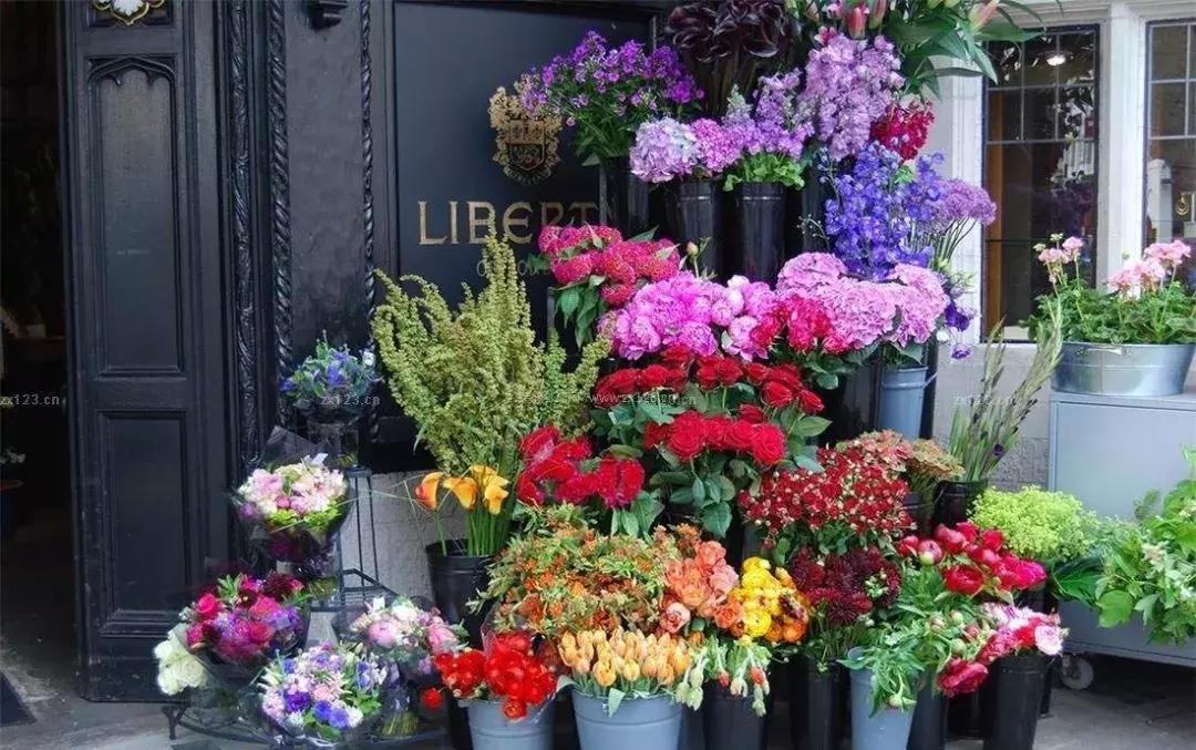 新手开花店怎样入门,怎么快速学开花店