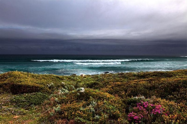 想去非洲劳务，需要走几步？