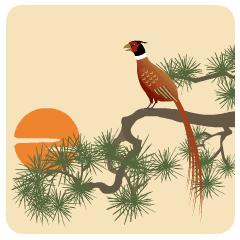 幸福一半争取一半随缘是什么意思,人生的幸福一半要争一半要随