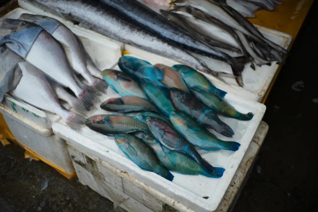 海南最大的渔港码头,在海南岛最霸气的渔港码头