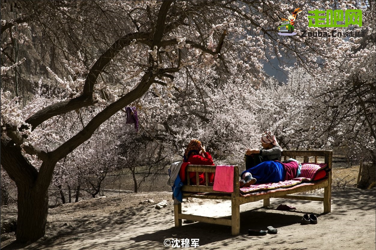 你永远不会体会到*疆新**公路的风情万种,除非你亲自自驾到那里!