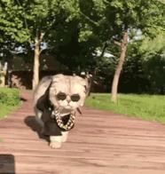 通道即将开工的大项目,开复工项目