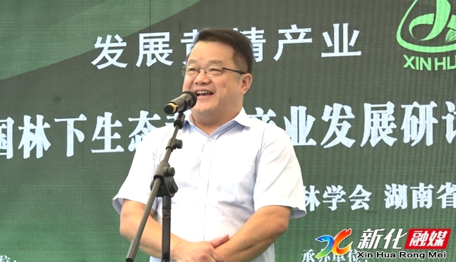 湖南黄精产业座谈会,新化县黄精产业